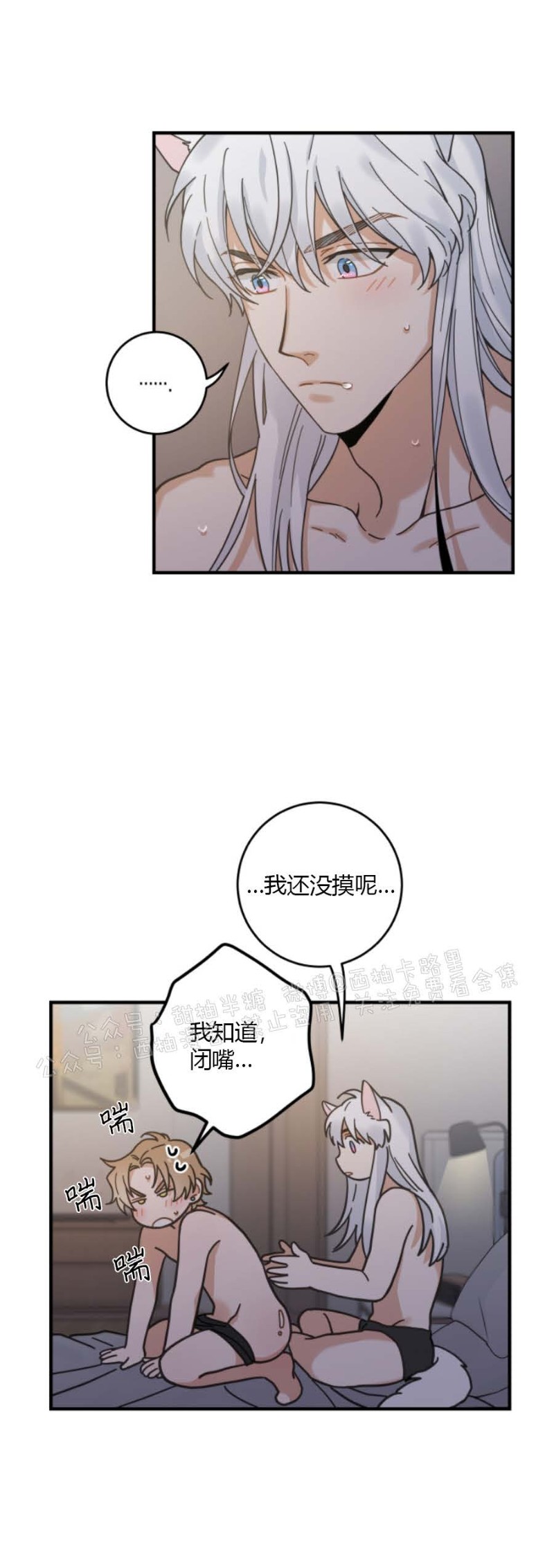 《我的专属喵喵/我的专属猫咪》漫画最新章节第31话免费下拉式在线观看章节第【23】张图片