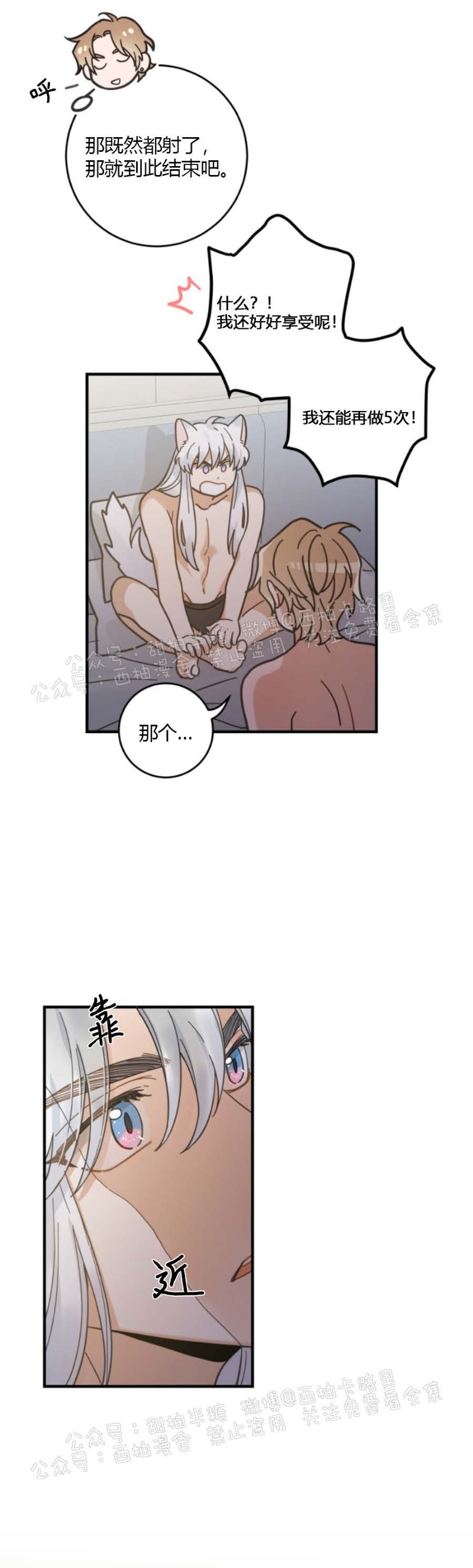 《我的专属喵喵/我的专属猫咪》漫画最新章节第31话免费下拉式在线观看章节第【25】张图片