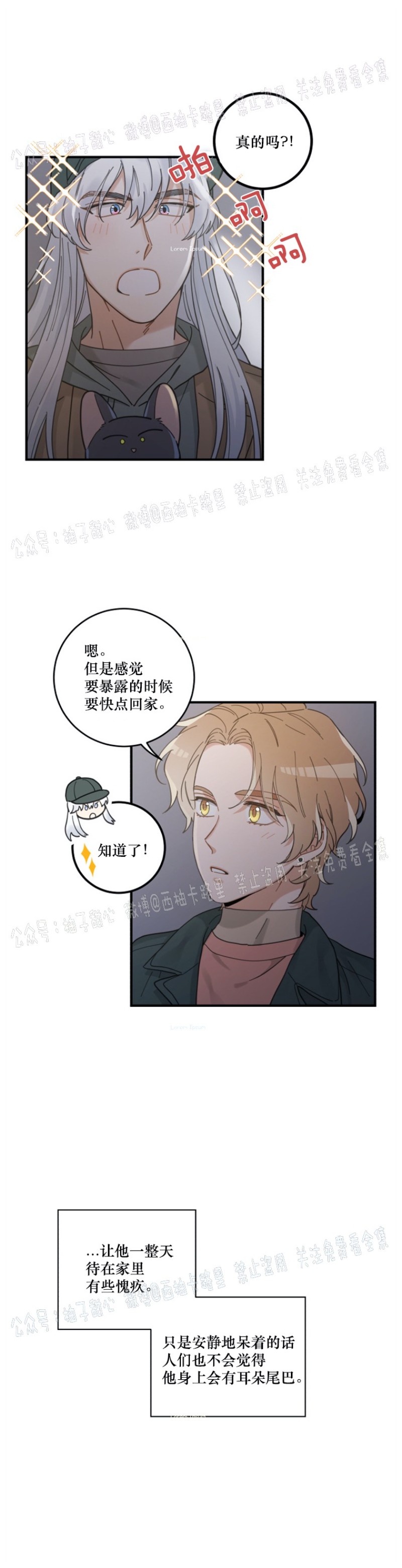 《我的专属喵喵/我的专属猫咪》漫画最新章节第33话免费下拉式在线观看章节第【27】张图片