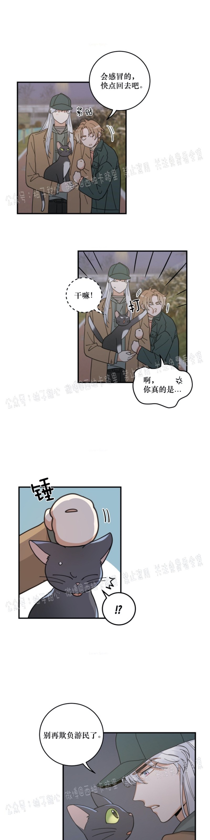 《我的专属喵喵/我的专属猫咪》漫画最新章节第33话免费下拉式在线观看章节第【29】张图片