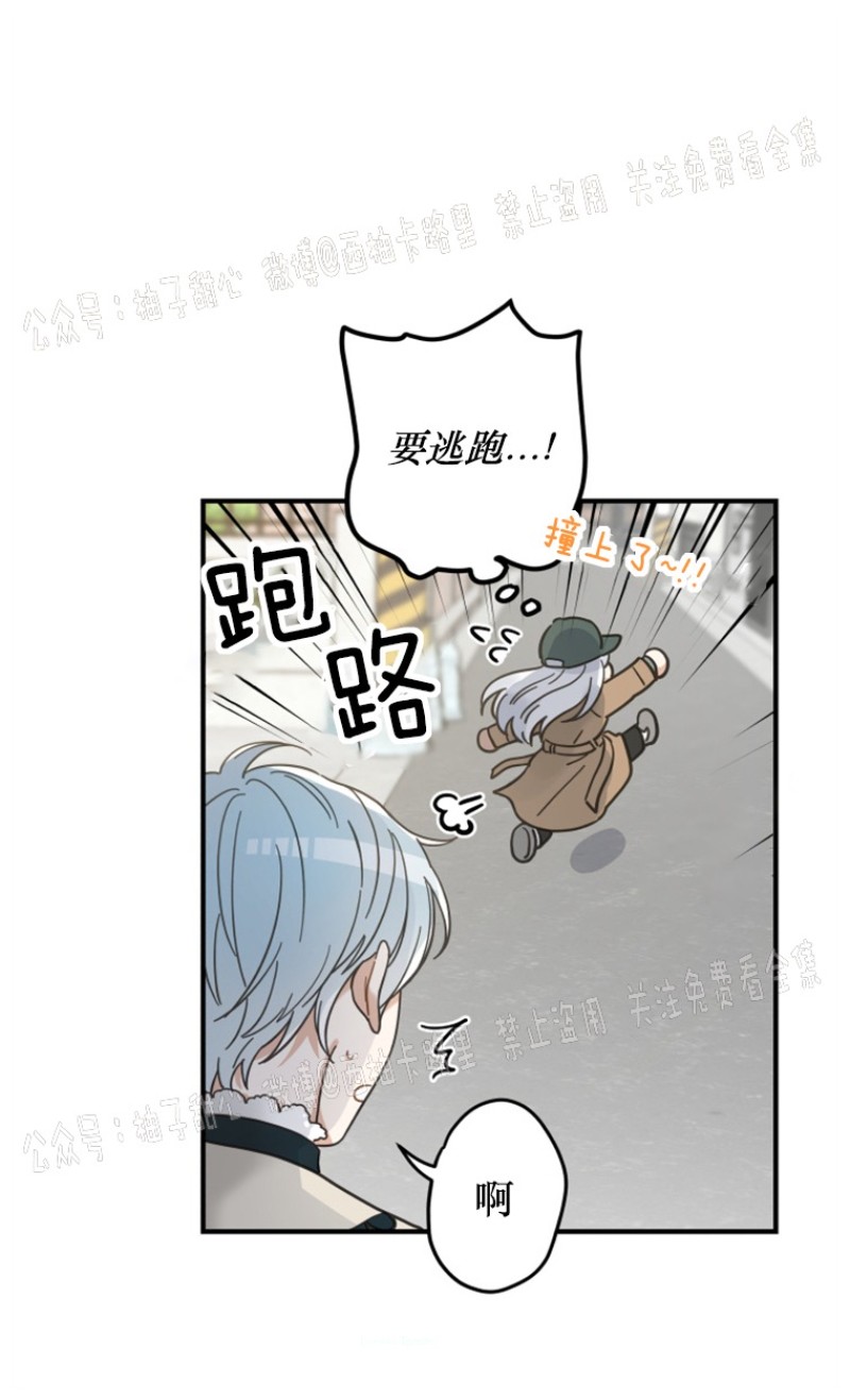 《我的专属喵喵/我的专属猫咪》漫画最新章节第33话免费下拉式在线观看章节第【8】张图片