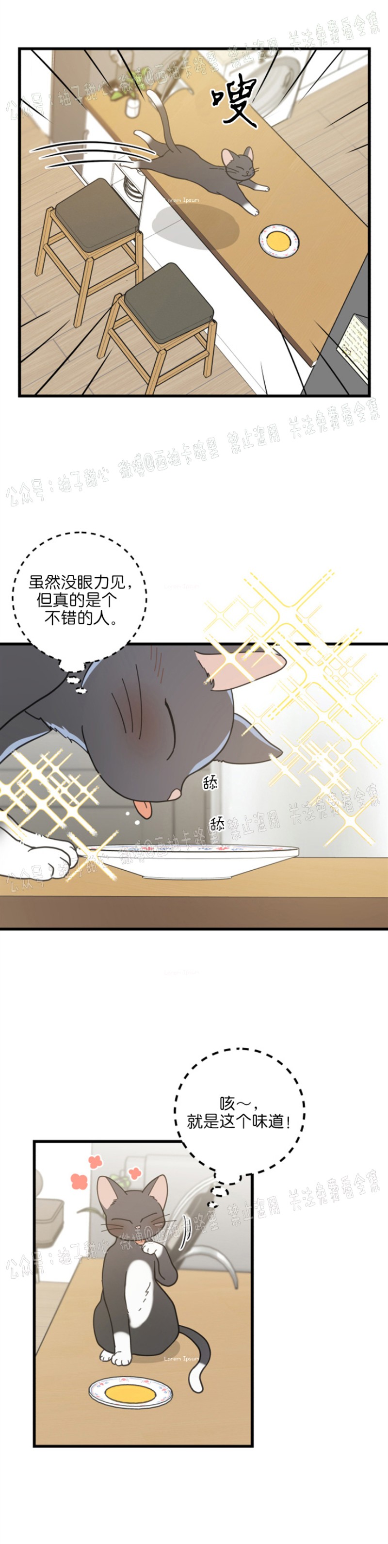 【我的专属喵喵/我的专属猫咪[腐漫]】漫画-（第34话）章节漫画下拉式图片-28.jpg