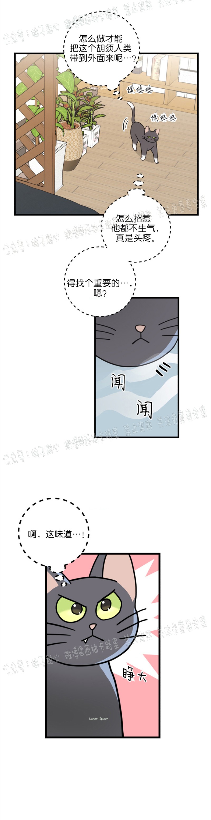 【我的专属喵喵/我的专属猫咪[腐漫]】漫画-（第34话）章节漫画下拉式图片-27.jpg