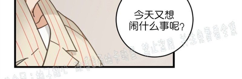 【我的专属喵喵/我的专属猫咪[腐漫]】漫画-（第34话）章节漫画下拉式图片-31.jpg