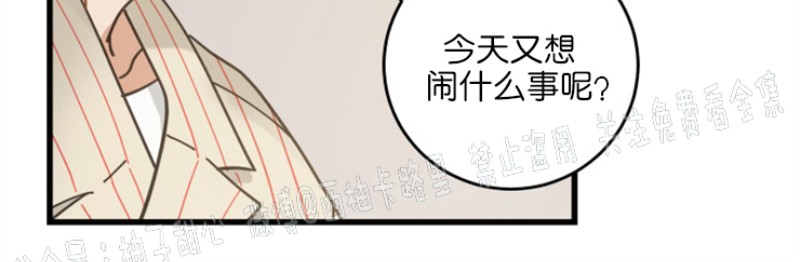 《我的专属喵喵/我的专属猫咪》漫画最新章节第34话免费下拉式在线观看章节第【31】张图片