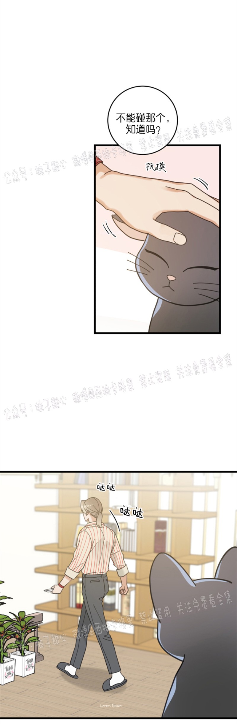 【我的专属喵喵/我的专属猫咪[腐漫]】漫画-（第34话）章节漫画下拉式图片-33.jpg
