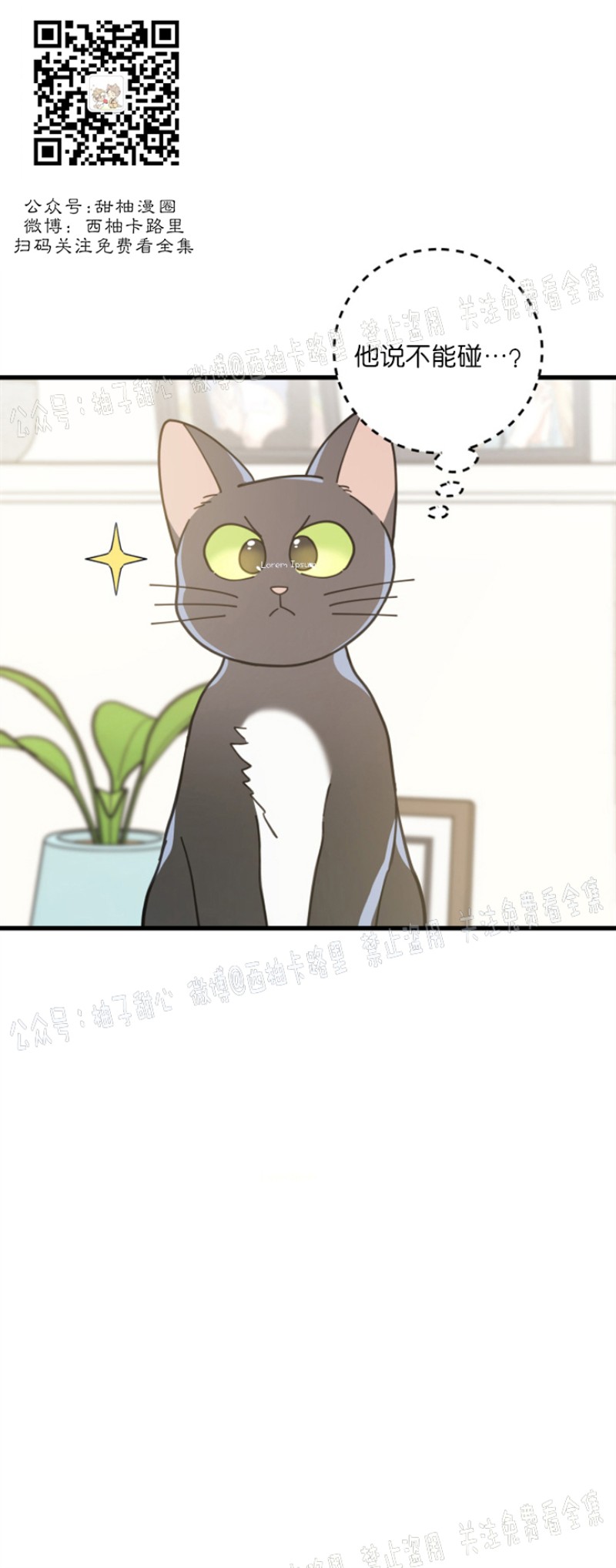 【我的专属喵喵/我的专属猫咪[腐漫]】漫画-（第34话）章节漫画下拉式图片-34.jpg
