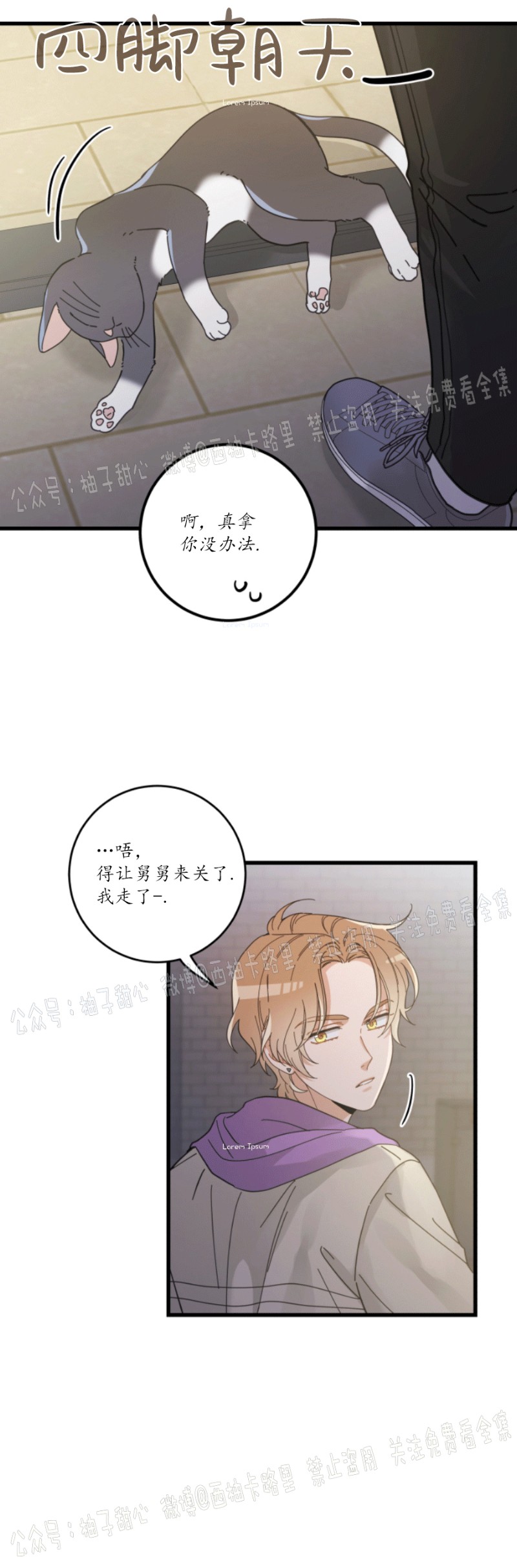 《我的专属喵喵/我的专属猫咪》漫画最新章节第35话免费下拉式在线观看章节第【3】张图片