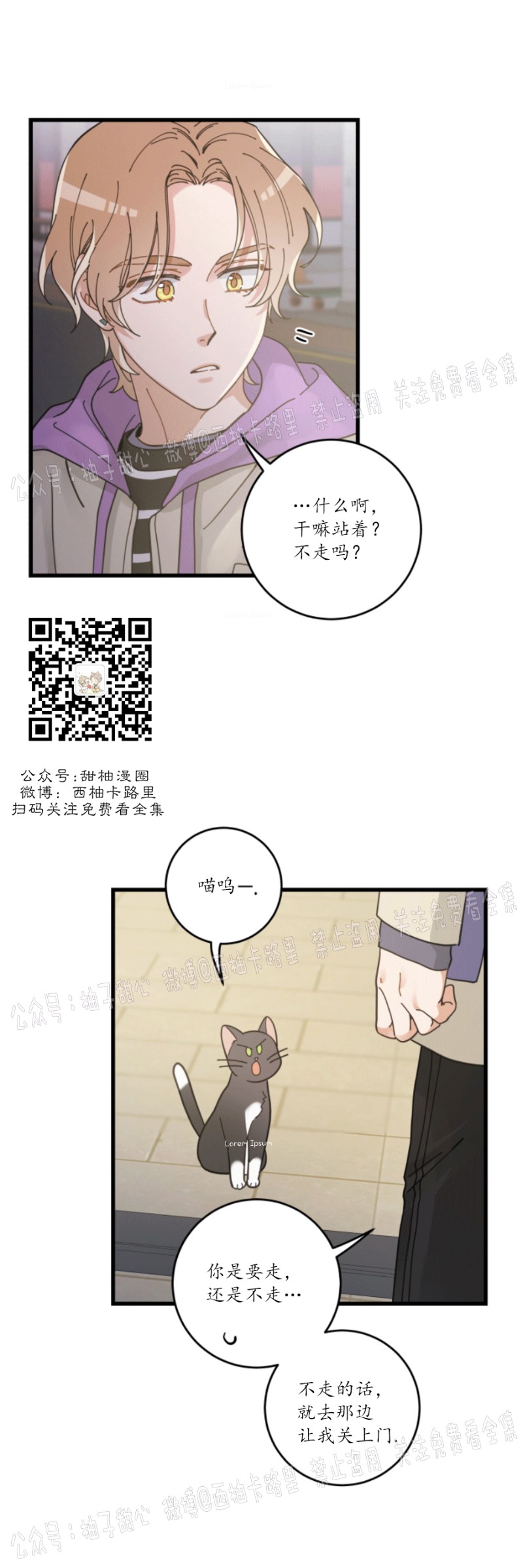 《我的专属喵喵/我的专属猫咪》漫画最新章节第35话免费下拉式在线观看章节第【2】张图片