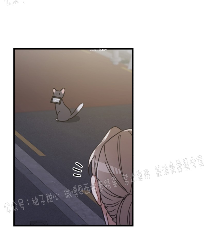 《我的专属喵喵/我的专属猫咪》漫画最新章节第35话免费下拉式在线观看章节第【15】张图片