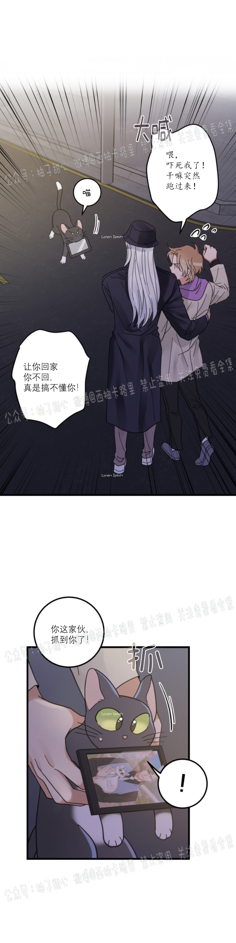 《我的专属喵喵/我的专属猫咪》漫画最新章节第35话免费下拉式在线观看章节第【32】张图片