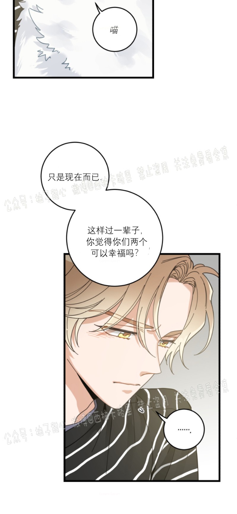 《我的专属喵喵/我的专属猫咪》漫画最新章节第36话免费下拉式在线观看章节第【10】张图片