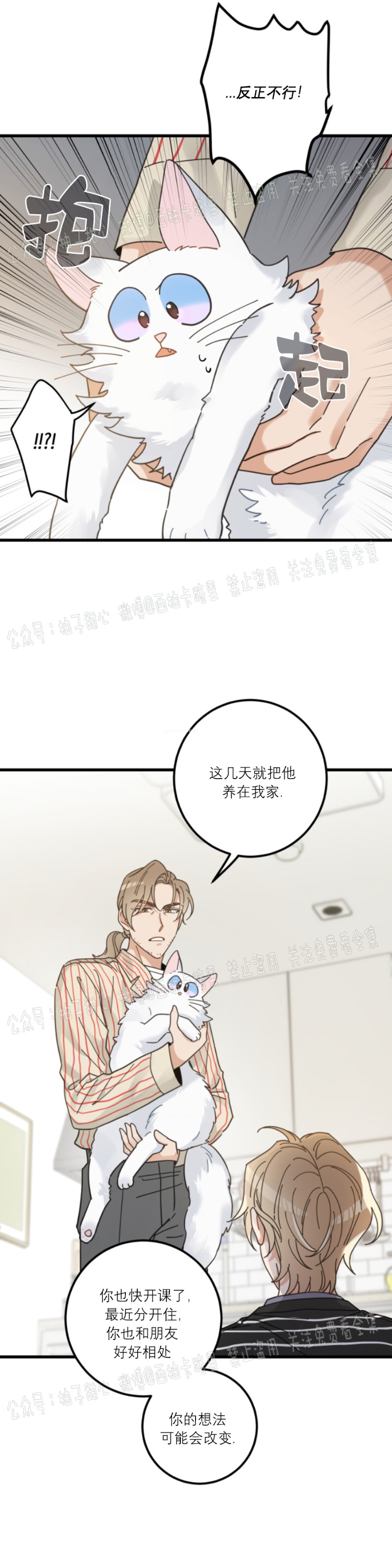 《我的专属喵喵/我的专属猫咪》漫画最新章节第36话免费下拉式在线观看章节第【17】张图片