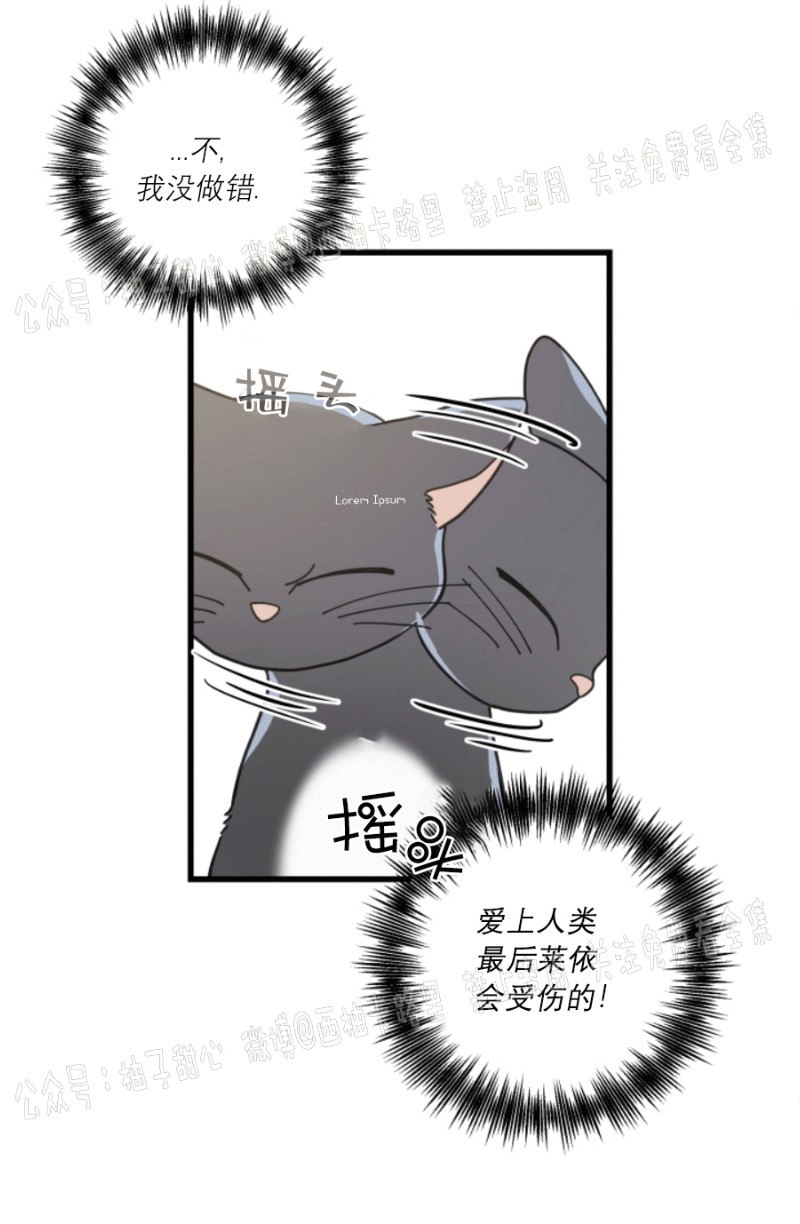 《我的专属喵喵/我的专属猫咪》漫画最新章节第36话免费下拉式在线观看章节第【23】张图片