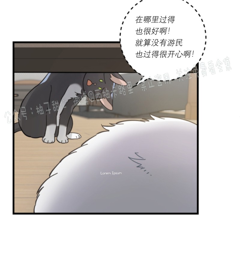 《我的专属喵喵/我的专属猫咪》漫画最新章节第36话免费下拉式在线观看章节第【28】张图片