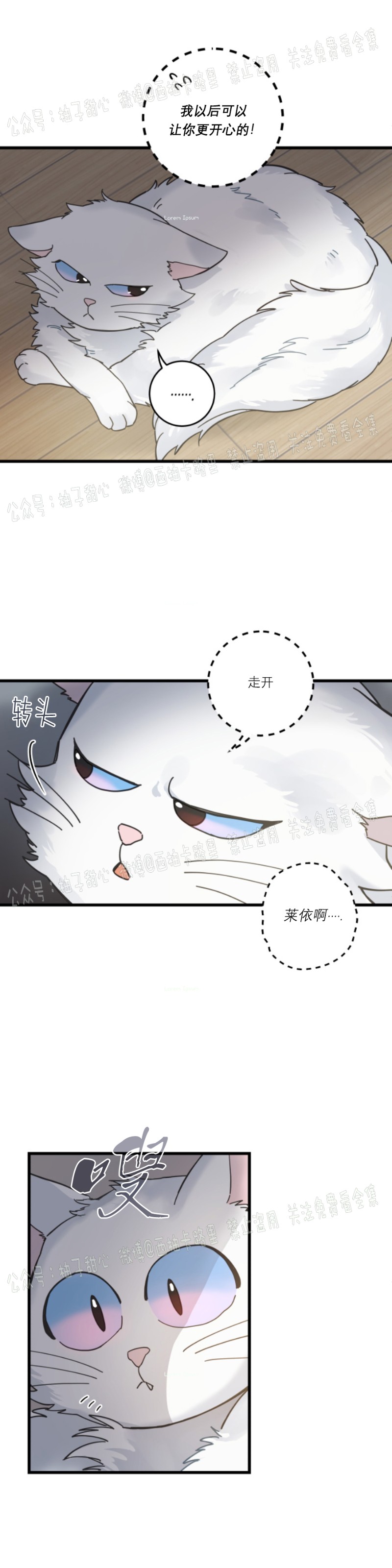 《我的专属喵喵/我的专属猫咪》漫画最新章节第36话免费下拉式在线观看章节第【29】张图片