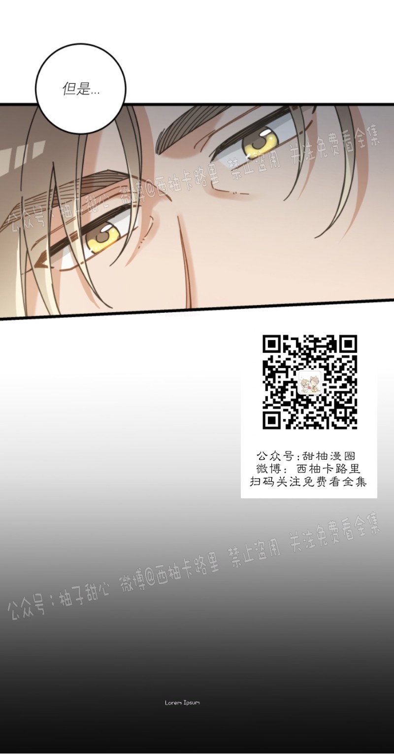 《我的专属喵喵/我的专属猫咪》漫画最新章节第36话免费下拉式在线观看章节第【32】张图片