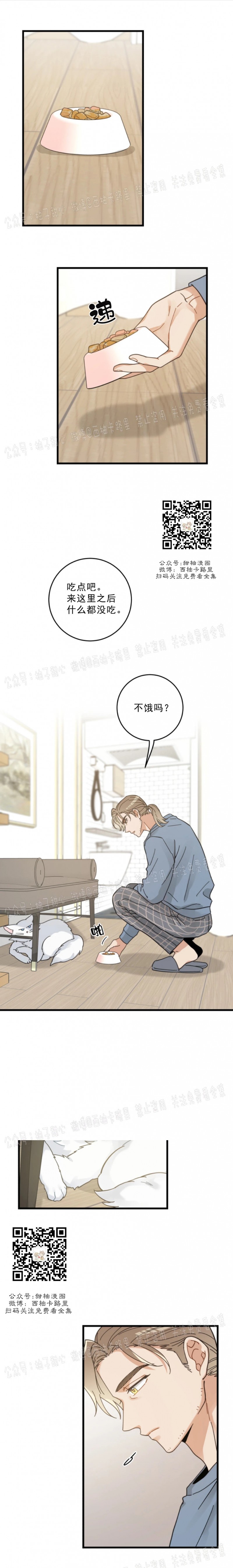 《我的专属喵喵/我的专属猫咪》漫画最新章节第37话免费下拉式在线观看章节第【4】张图片