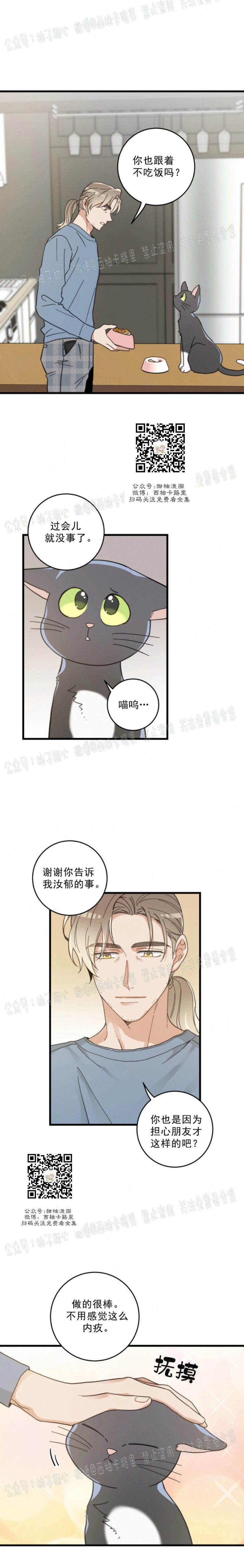 《我的专属喵喵/我的专属猫咪》漫画最新章节第37话免费下拉式在线观看章节第【6】张图片