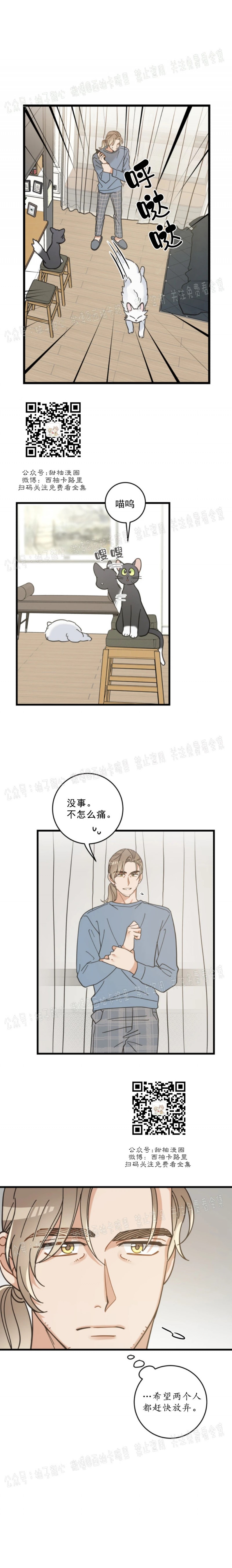 《我的专属喵喵/我的专属猫咪》漫画最新章节第37话免费下拉式在线观看章节第【14】张图片