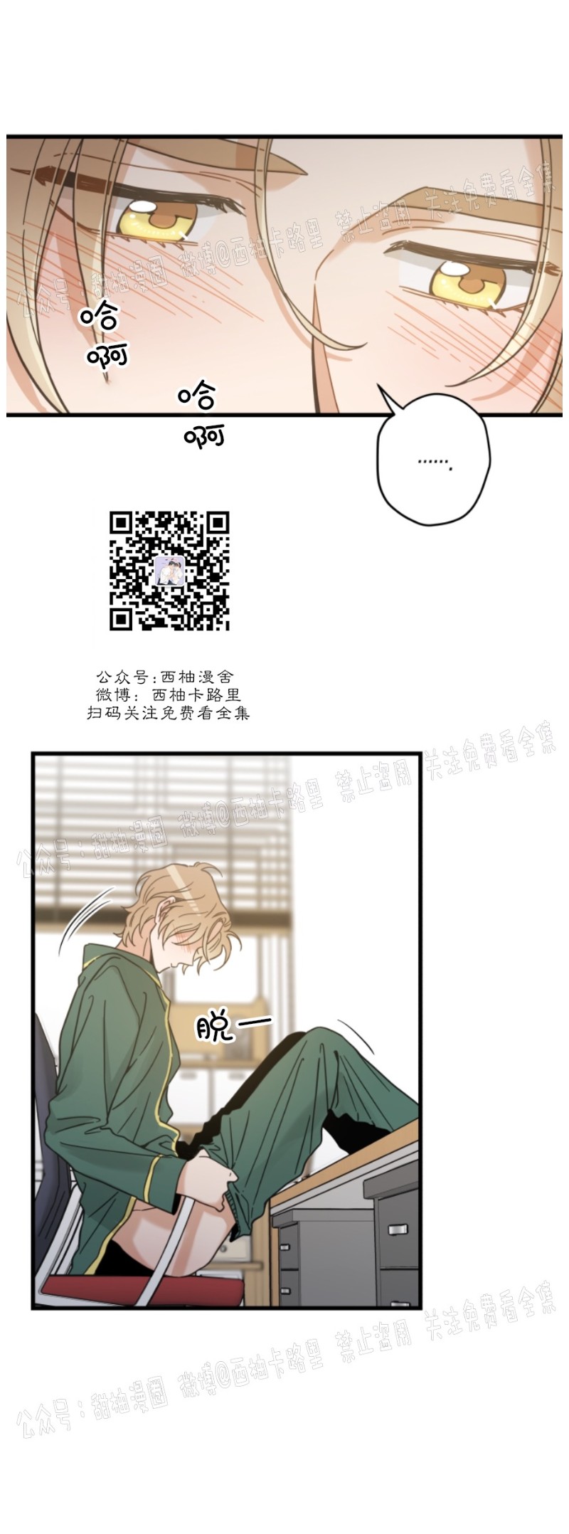 《我的专属喵喵/我的专属猫咪》漫画最新章节第38话免费下拉式在线观看章节第【10】张图片