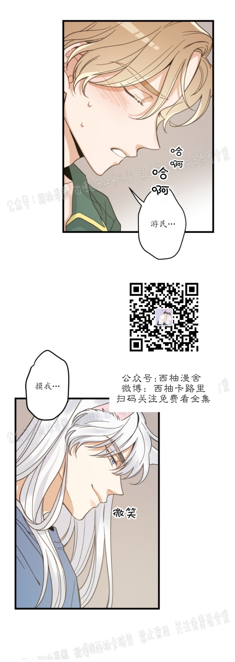 《我的专属喵喵/我的专属猫咪》漫画最新章节第38话免费下拉式在线观看章节第【16】张图片