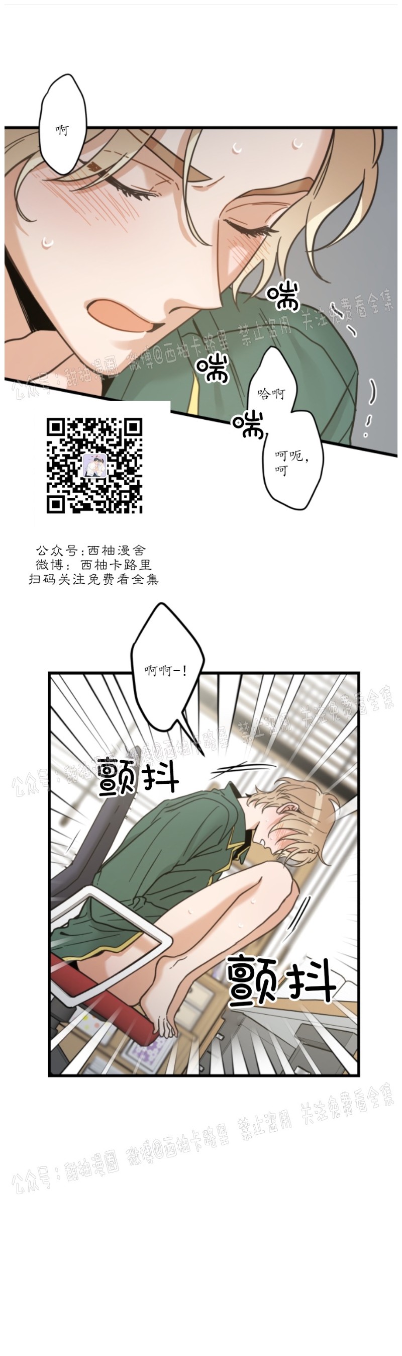 《我的专属喵喵/我的专属猫咪》漫画最新章节第38话免费下拉式在线观看章节第【17】张图片