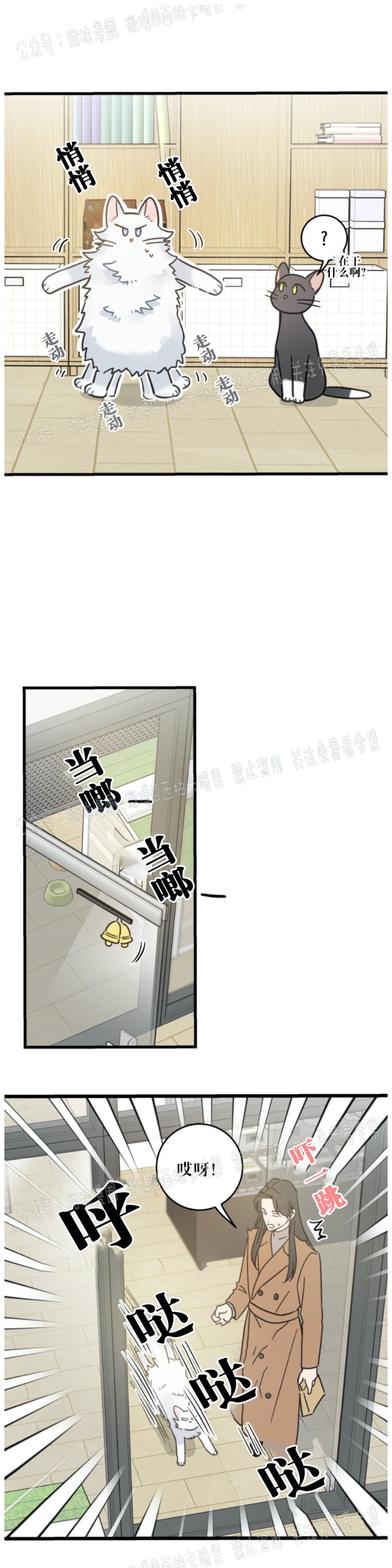 《我的专属喵喵/我的专属猫咪》漫画最新章节第39话免费下拉式在线观看章节第【3】张图片