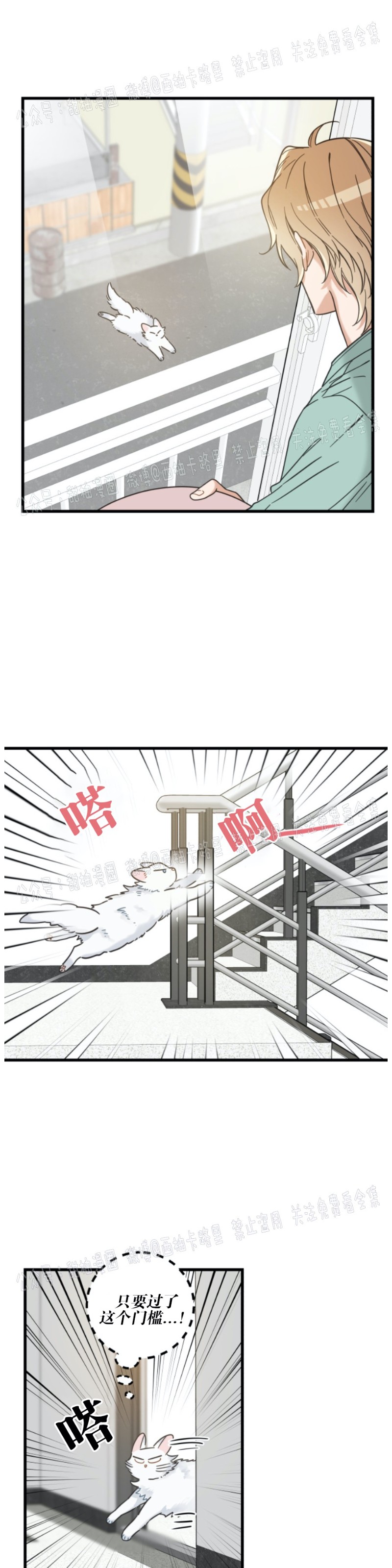 《我的专属喵喵/我的专属猫咪》漫画最新章节第39话免费下拉式在线观看章节第【12】张图片