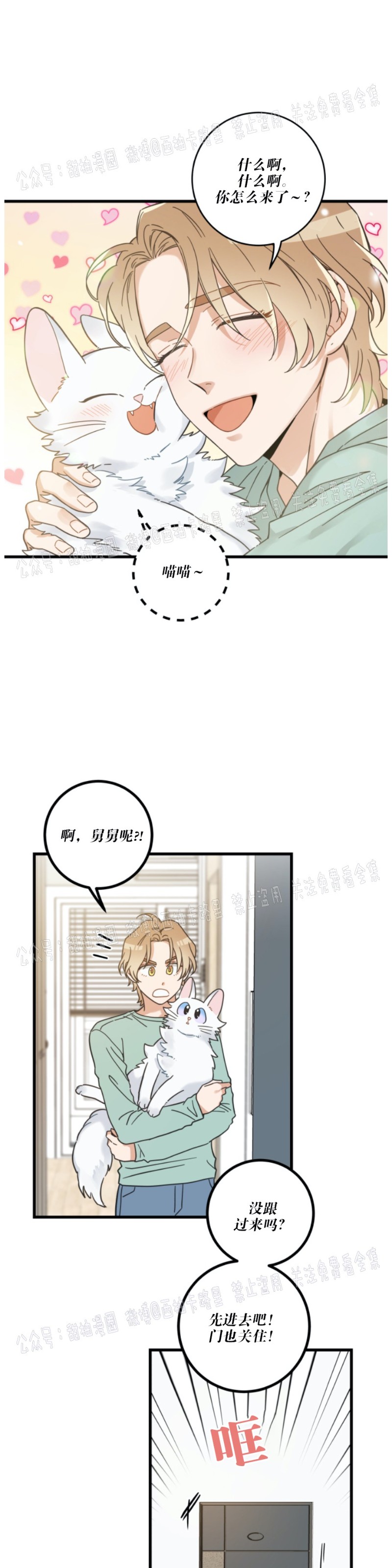 《我的专属喵喵/我的专属猫咪》漫画最新章节第39话免费下拉式在线观看章节第【16】张图片