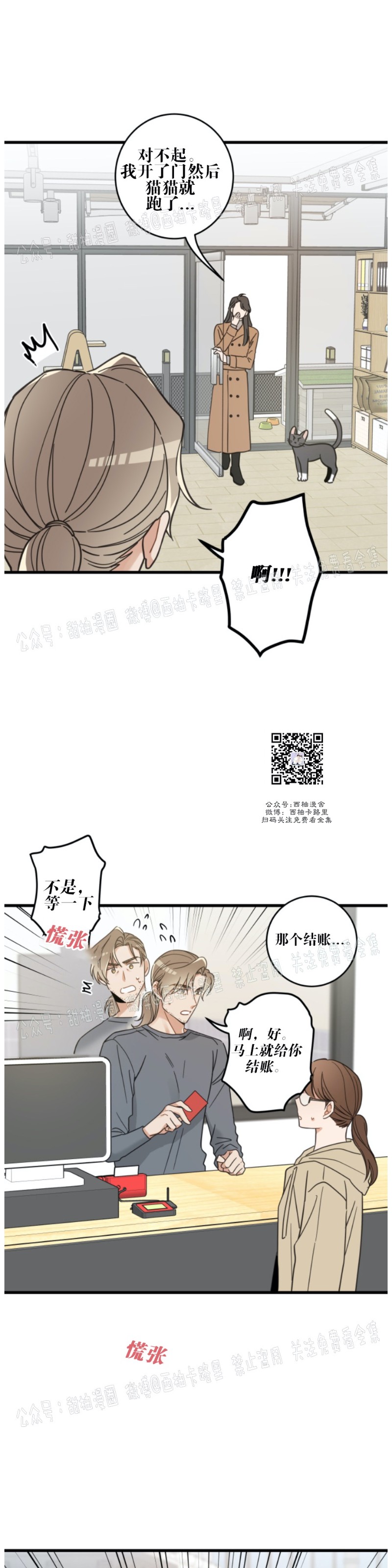 《我的专属喵喵/我的专属猫咪》漫画最新章节第39话免费下拉式在线观看章节第【7】张图片