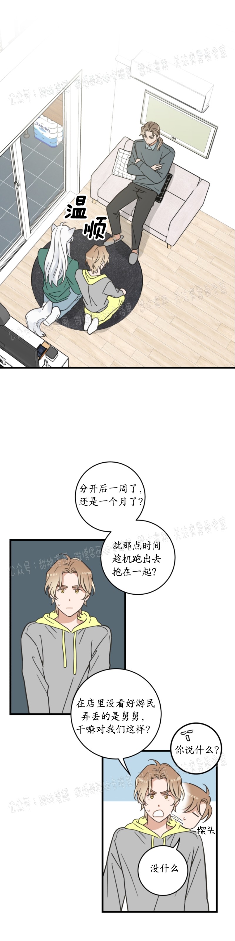 《我的专属喵喵/我的专属猫咪》漫画最新章节第40话免费下拉式在线观看章节第【11】张图片