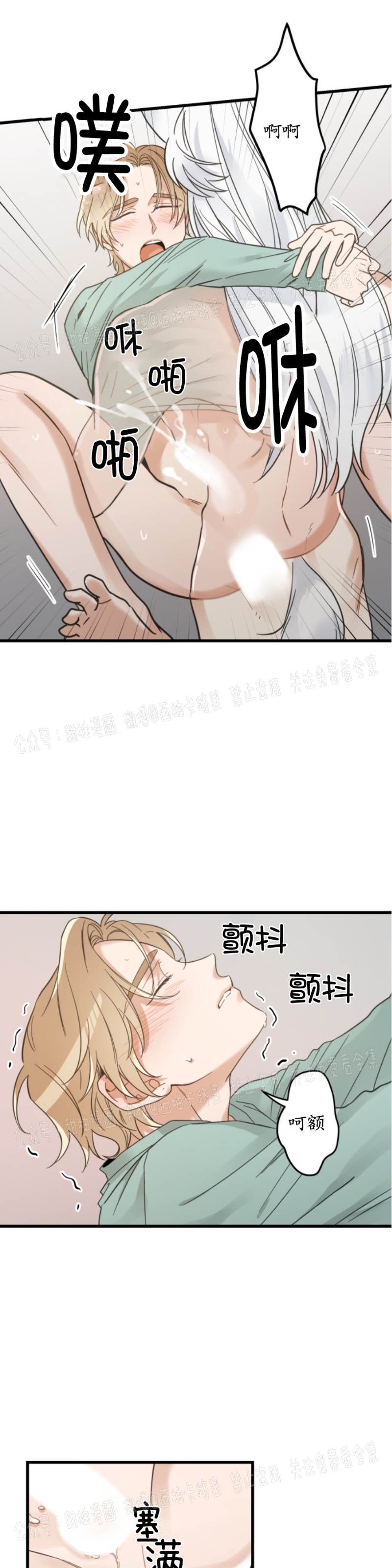 《我的专属喵喵/我的专属猫咪》漫画最新章节第40话免费下拉式在线观看章节第【5】张图片