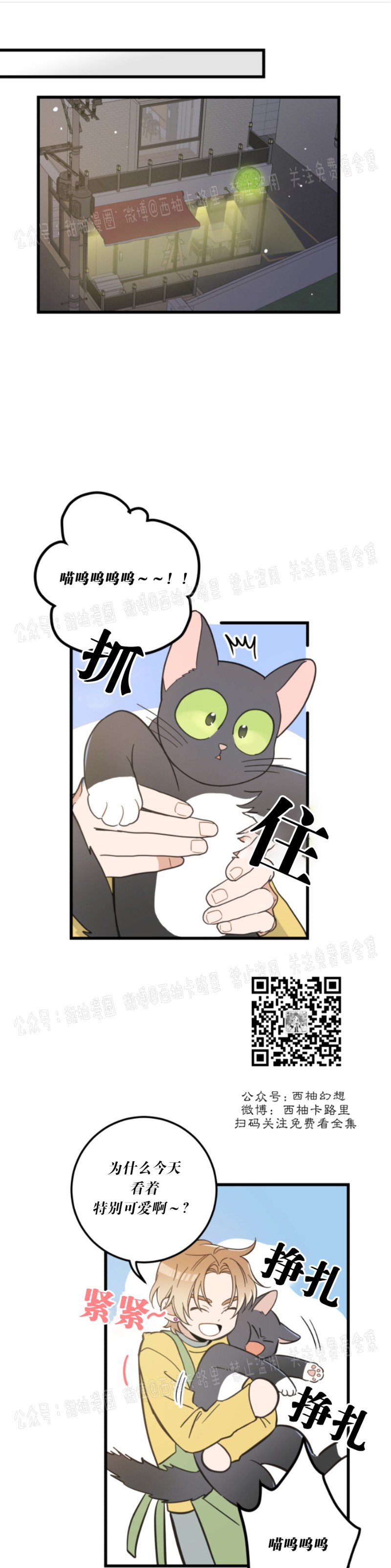 【我的专属喵喵/我的专属猫咪[腐漫]】漫画-（第41话）章节漫画下拉式图片-16.jpg