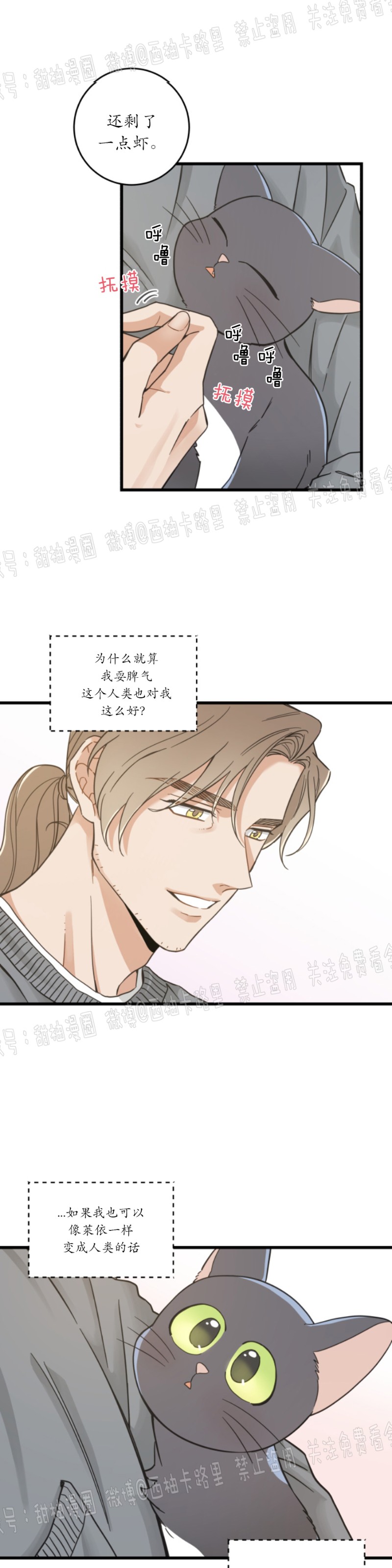 《我的专属喵喵/我的专属猫咪》漫画最新章节第42话免费下拉式在线观看章节第【14】张图片