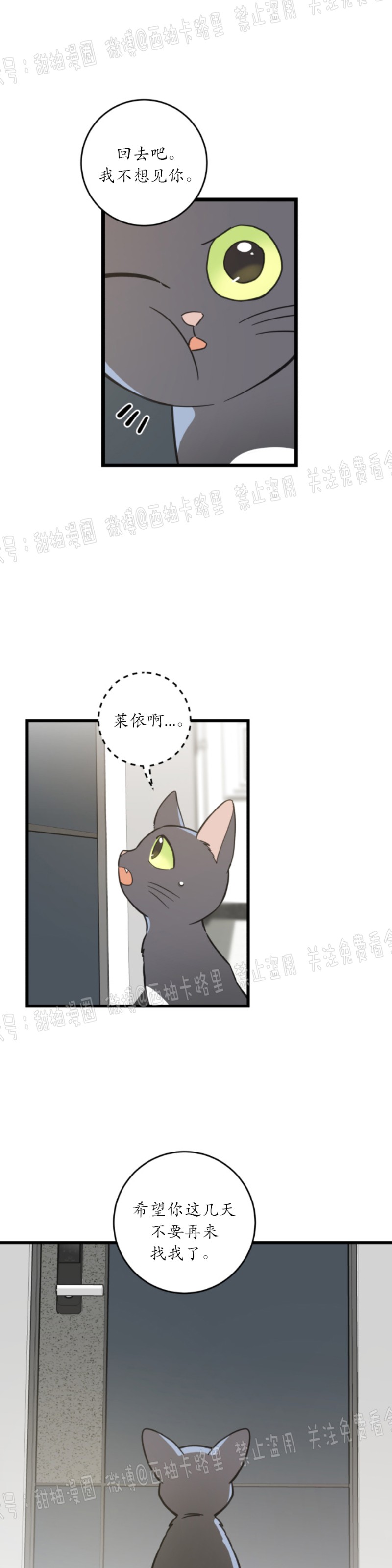 《我的专属喵喵/我的专属猫咪》漫画最新章节第42话免费下拉式在线观看章节第【7】张图片