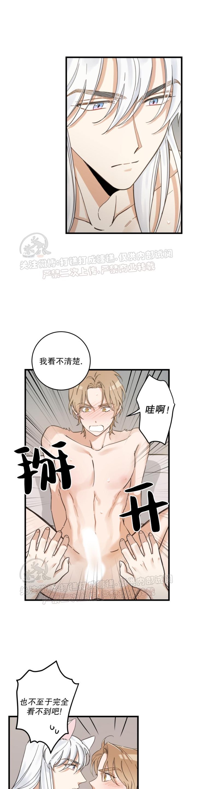 《我的专属喵喵/我的专属猫咪》漫画最新章节第43话免费下拉式在线观看章节第【12】张图片