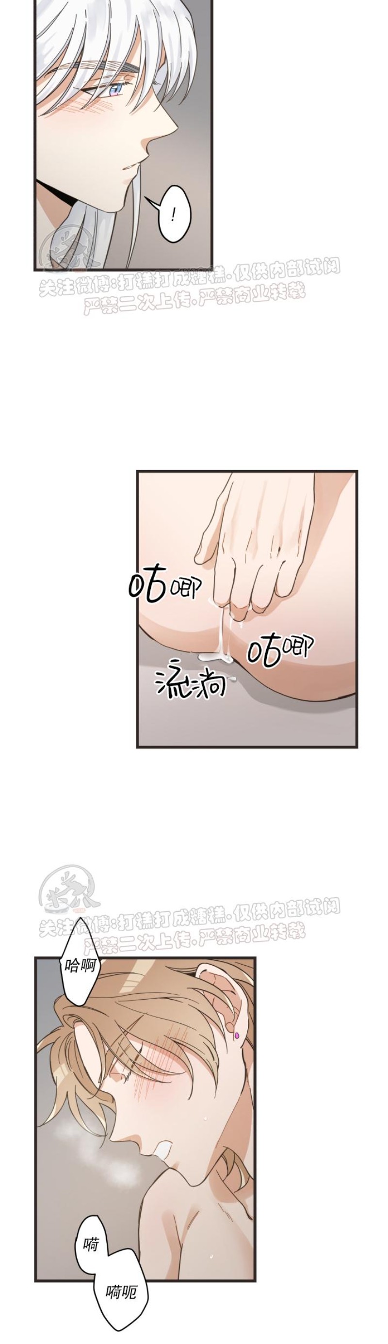 《我的专属喵喵/我的专属猫咪》漫画最新章节第43话免费下拉式在线观看章节第【17】张图片