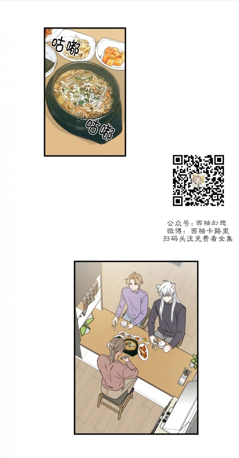 《我的专属喵喵/我的专属猫咪》漫画最新章节第47话免费下拉式在线观看章节第【1】张图片