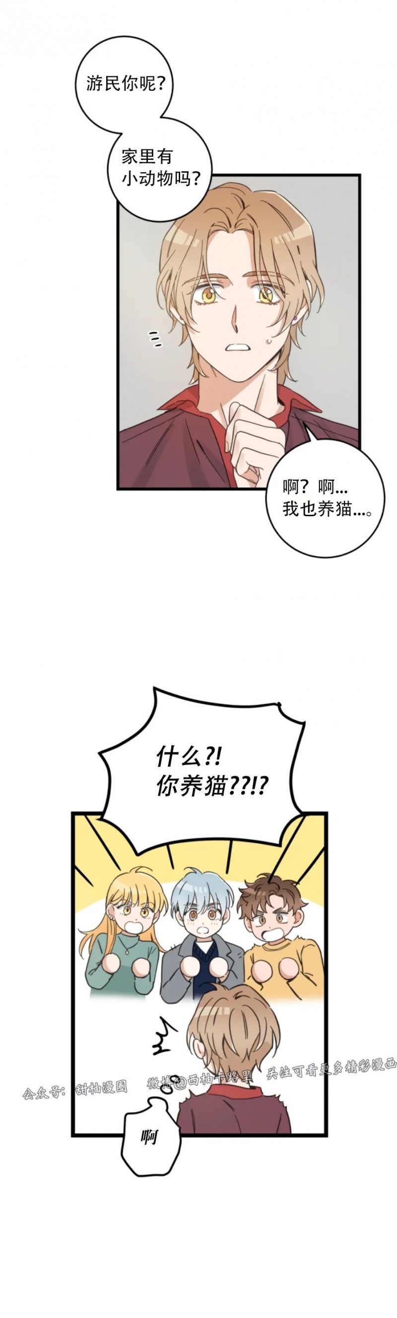 《我的专属喵喵/我的专属猫咪》漫画最新章节第47话免费下拉式在线观看章节第【18】张图片