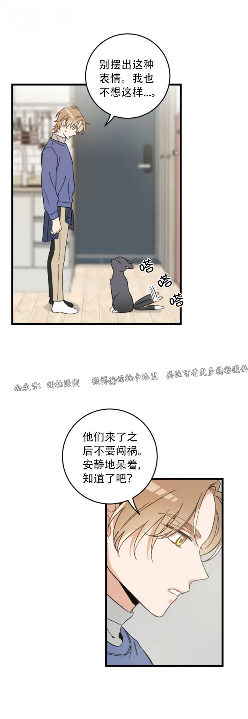 《我的专属喵喵/我的专属猫咪》漫画最新章节第47话免费下拉式在线观看章节第【23】张图片