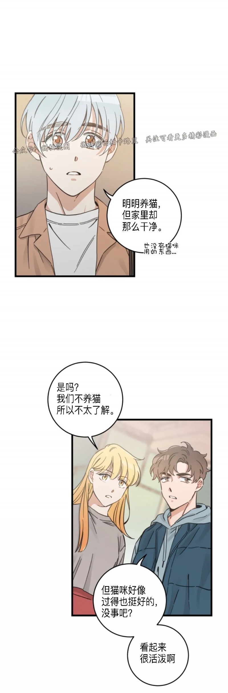 《我的专属喵喵/我的专属猫咪》漫画最新章节第48话免费下拉式在线观看章节第【2】张图片