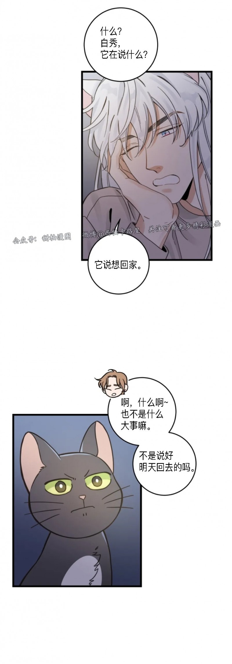 《我的专属喵喵/我的专属猫咪》漫画最新章节第48话免费下拉式在线观看章节第【15】张图片