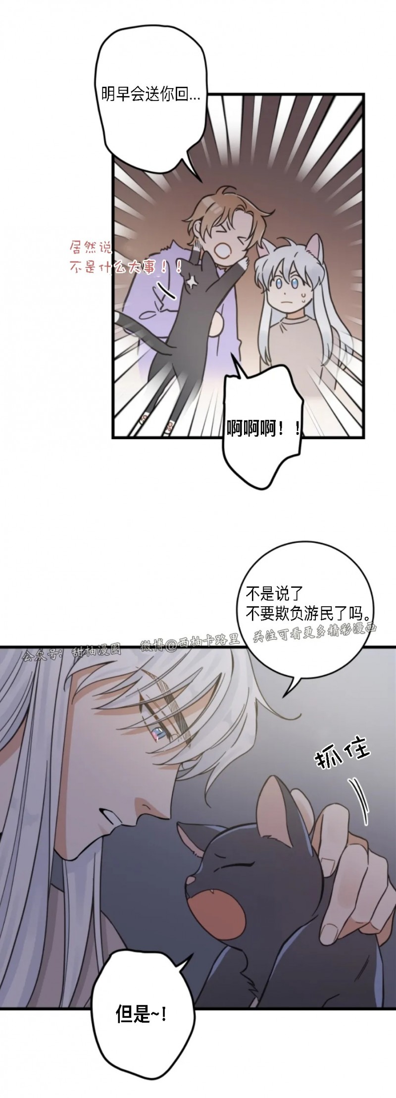 《我的专属喵喵/我的专属猫咪》漫画最新章节第48话免费下拉式在线观看章节第【16】张图片