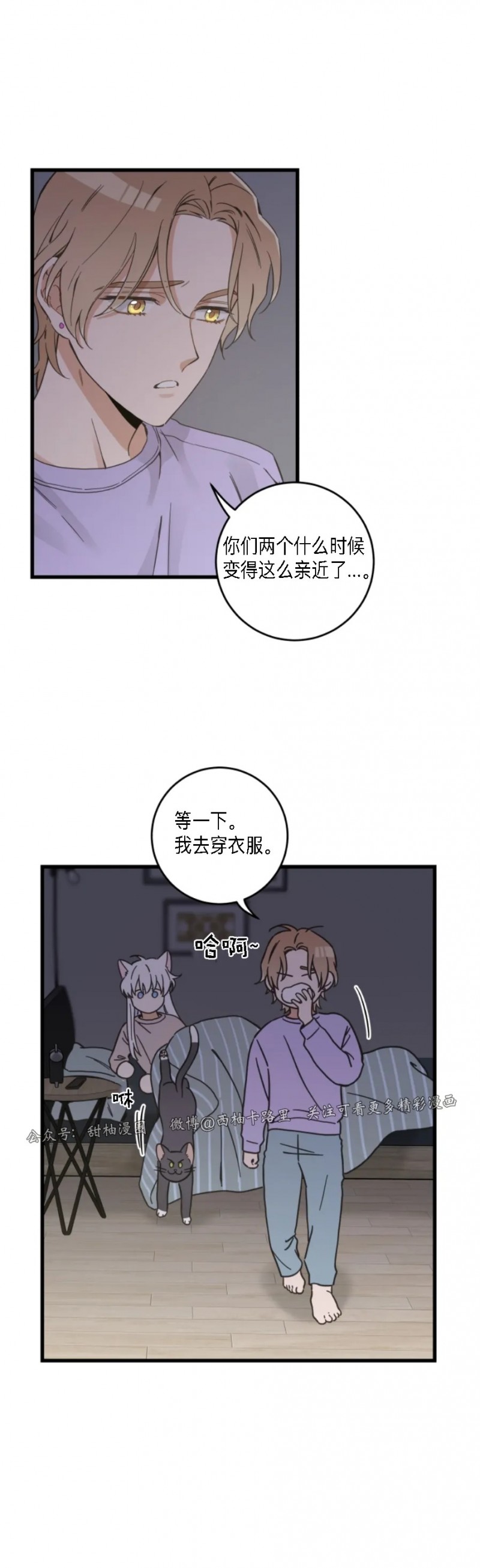 《我的专属喵喵/我的专属猫咪》漫画最新章节第48话免费下拉式在线观看章节第【17】张图片