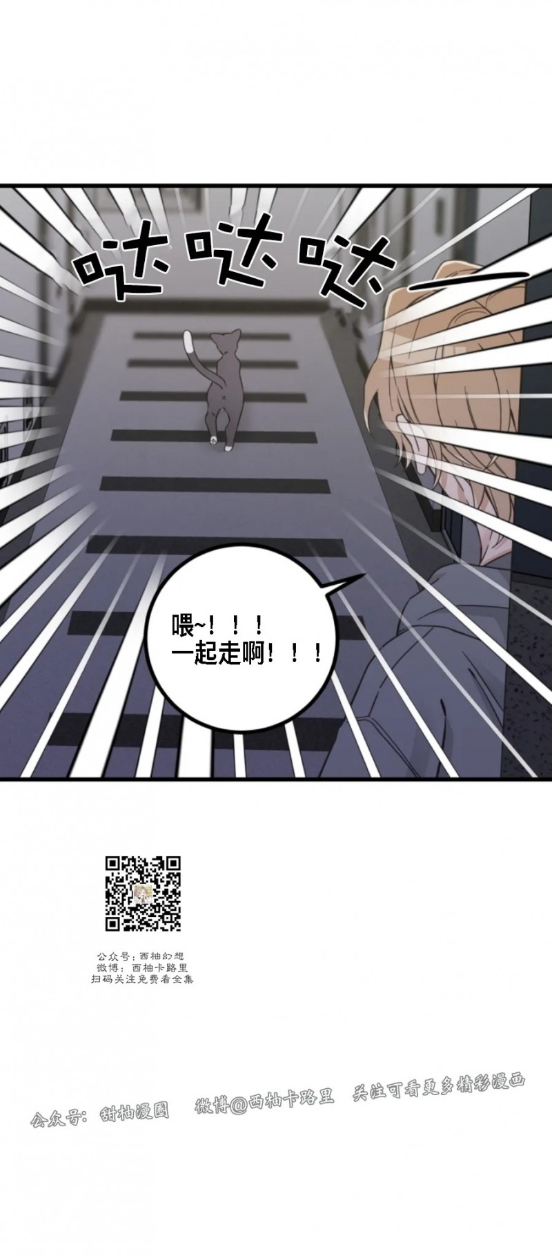 《我的专属喵喵/我的专属猫咪》漫画最新章节第48话免费下拉式在线观看章节第【21】张图片