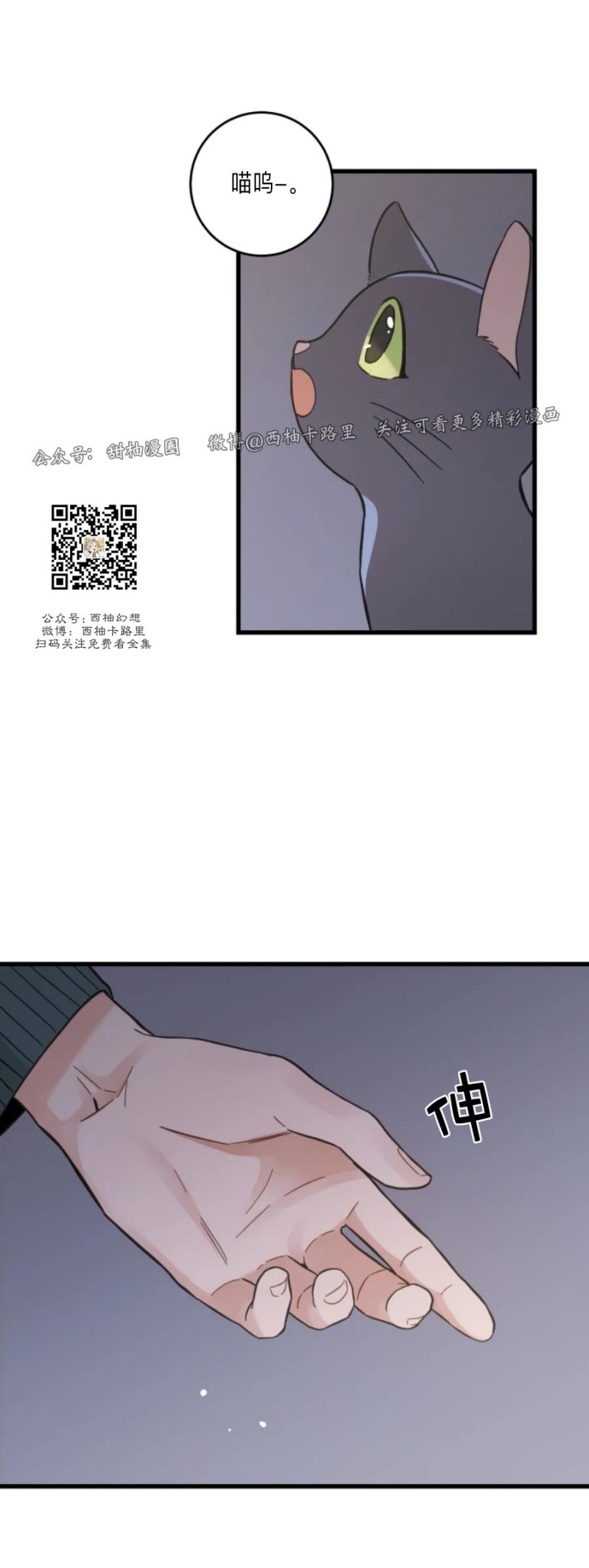 《我的专属喵喵/我的专属猫咪》漫画最新章节第48话免费下拉式在线观看章节第【30】张图片