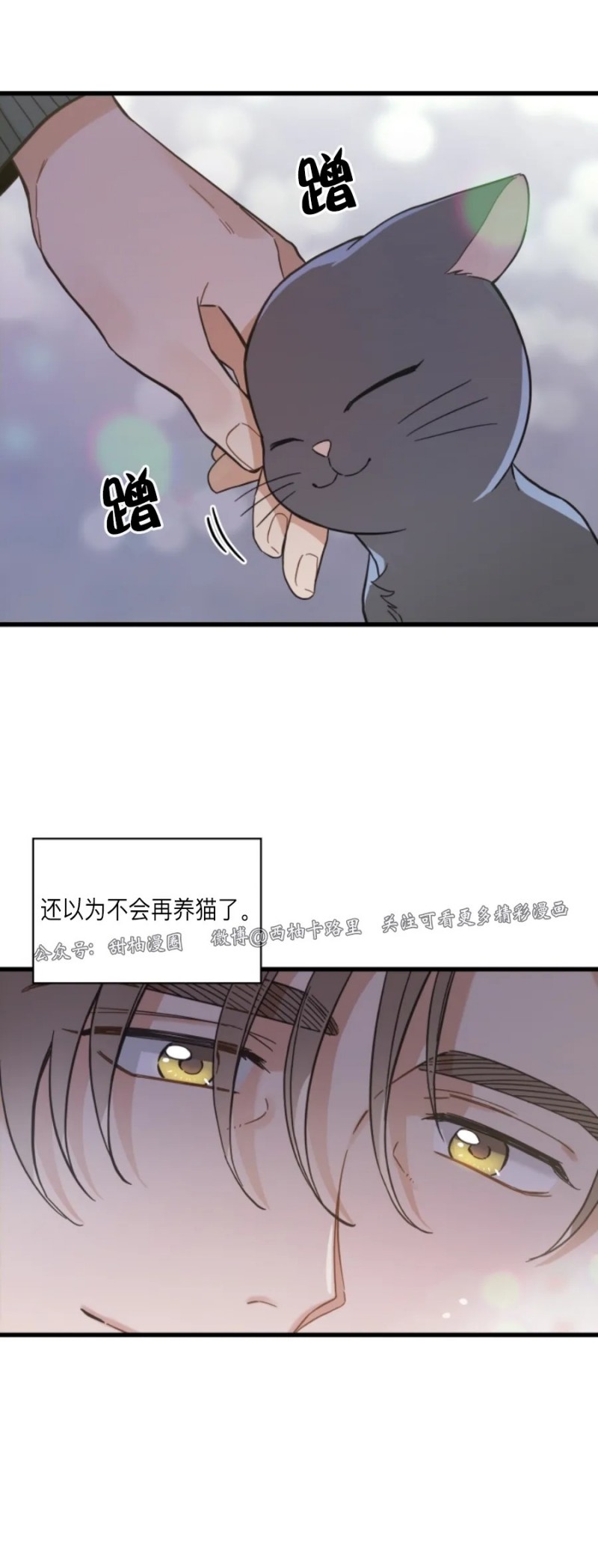 《我的专属喵喵/我的专属猫咪》漫画最新章节第48话免费下拉式在线观看章节第【31】张图片