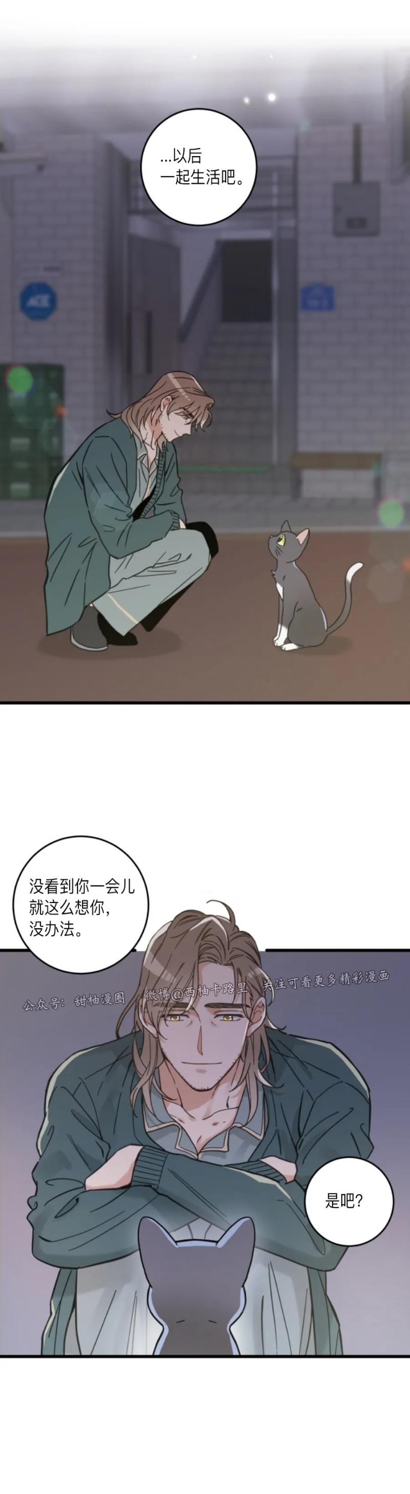 《我的专属喵喵/我的专属猫咪》漫画最新章节第48话免费下拉式在线观看章节第【32】张图片