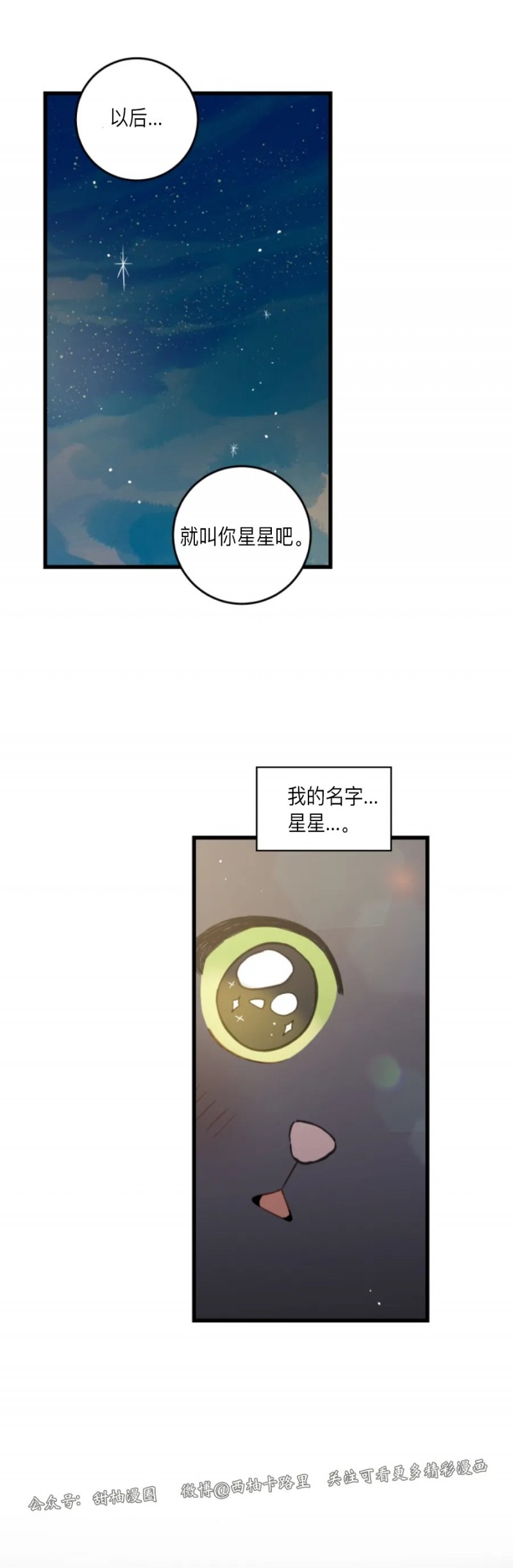 《我的专属喵喵/我的专属猫咪》漫画最新章节第48话免费下拉式在线观看章节第【34】张图片